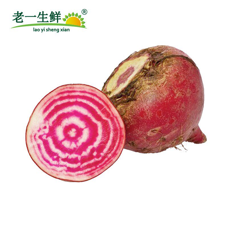 条纹一生生鲜菜头新鲜萝卜螺旋纹菜头西餐摆盘其它