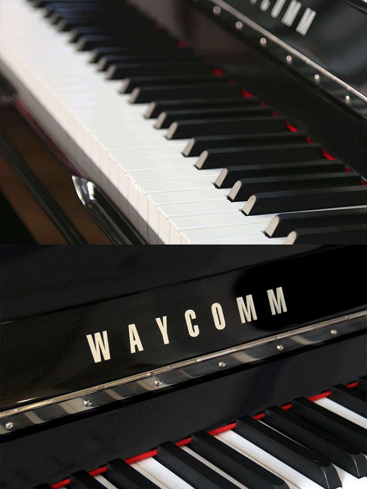 珠江钢琴dp118专业考级威腾初学者全新立式家庭教学专业演奏钢琴