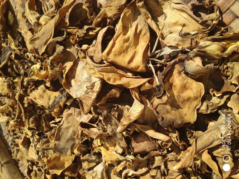 芭蕉野生花干云南西双版纳衣干嫩芯炖汤菜用其它