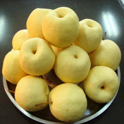 山西祁县贡梨酥梨新鲜水果净重8斤包邮梨子梨
