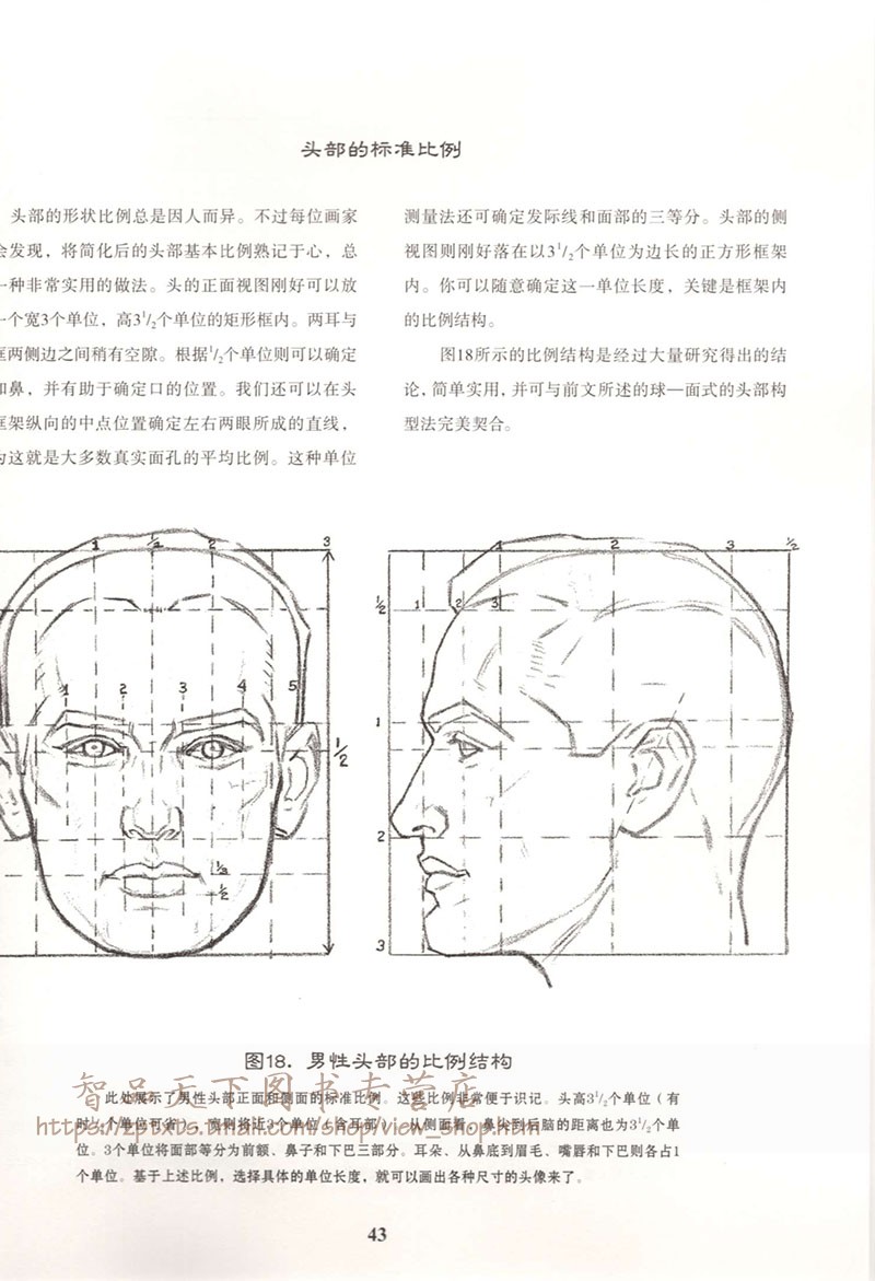 正版包邮 路米斯经典美术课头手素描 西方绘画大师课堂素描速写半身像