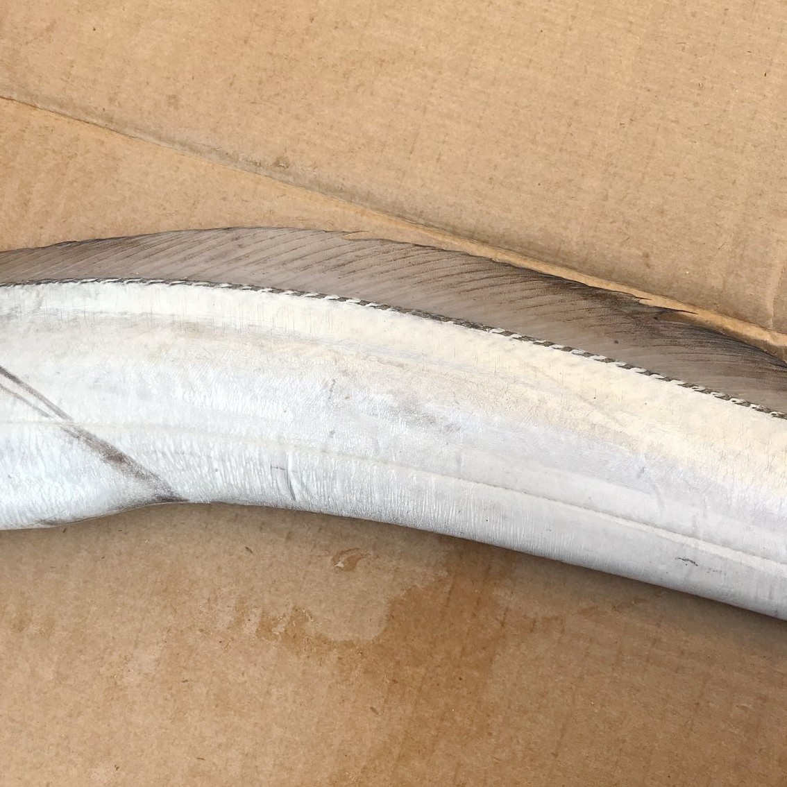 带鱼海鲜三斤吊带本地野生海水产纯野2斤1斤带鱼