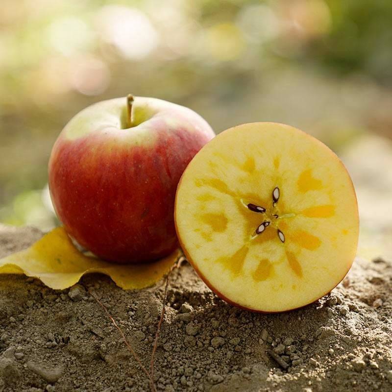 新疆阿克苏冰糖心苹果新鲜水果时令应季丑苹果整箱特级10