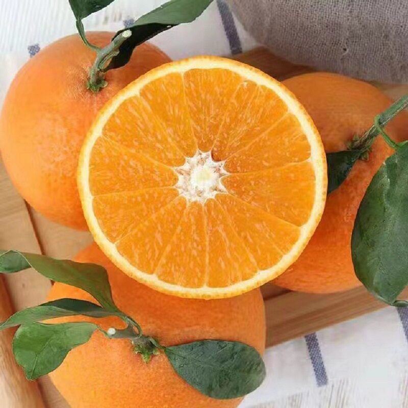 湖北秭归蜜奈夏橙脐橙纯甜多汁应季新鲜水果橙