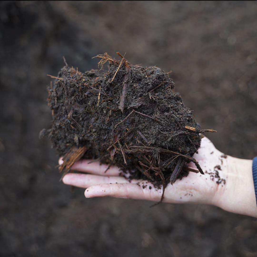 秸秆新鲜玉米混合羊粪好氧堆肥腐熟充分有机肥料介质