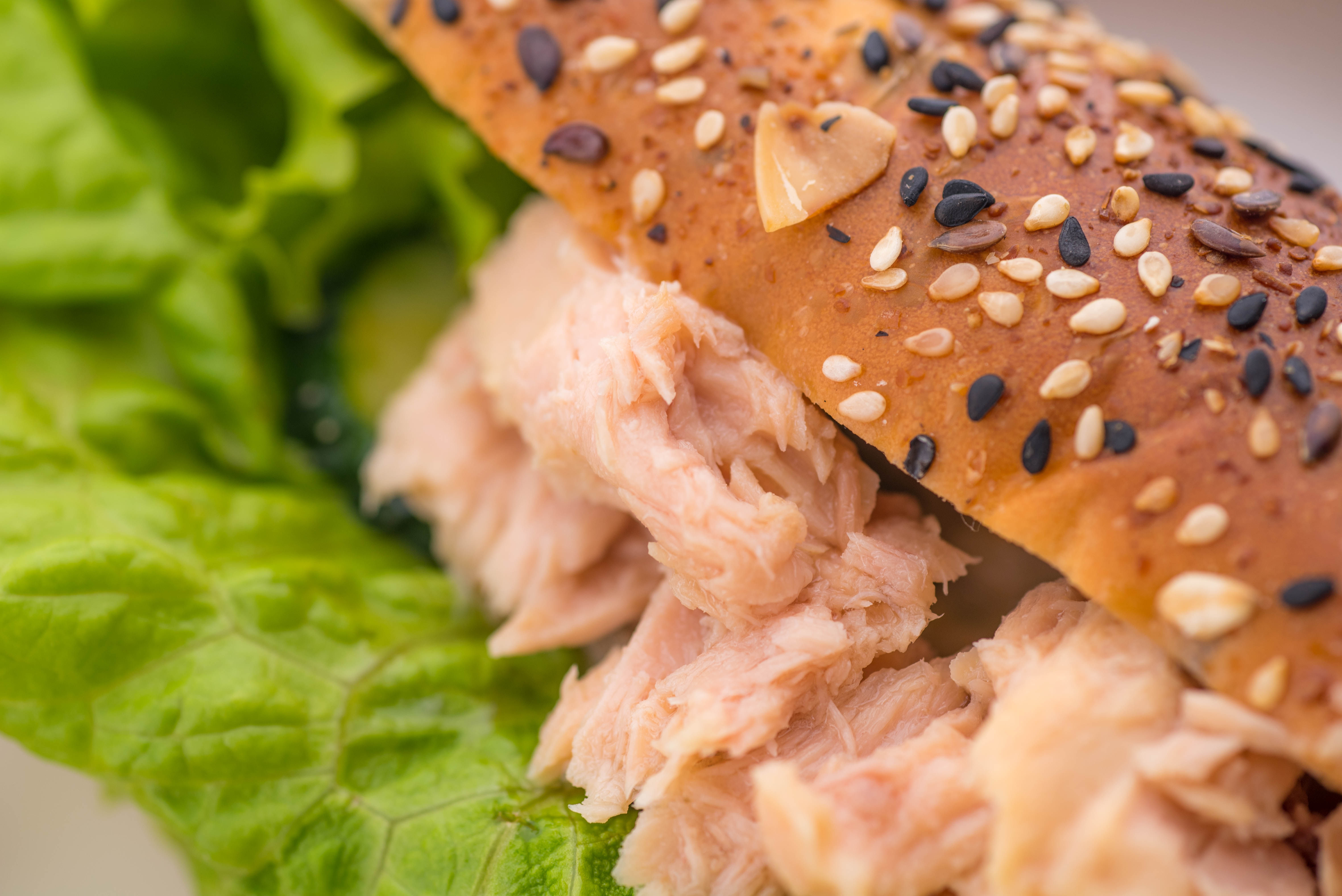 肉松吞拿鱼沙拉寿司即食海鲜实惠装 1kgx2袋 油浸金****鱼罐头软包装