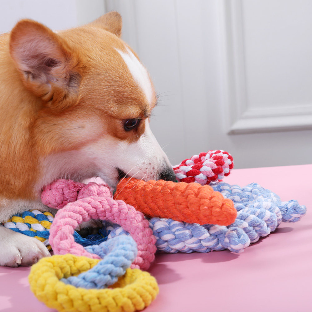 狗狗玩具耐咬磨牙宠物自己骨头球球大狗大型橡胶球