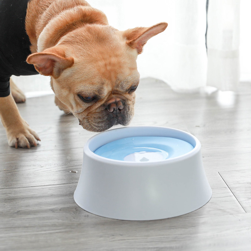 狗狗自动喝水器防打翻水盆单碗狗碗喂宠物碗法斗碗