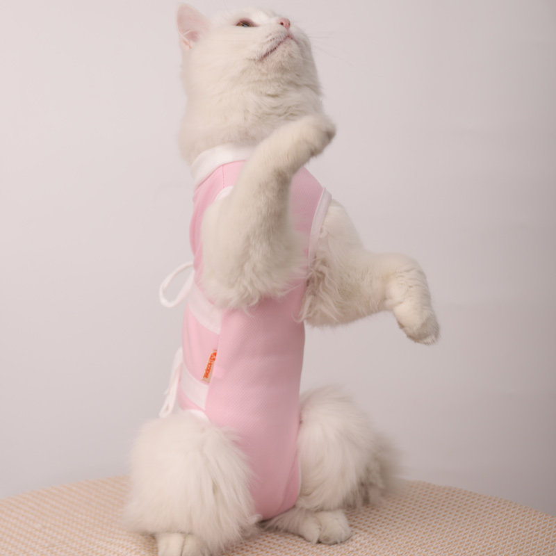 母猫绝育服猫咪衣服透气手术服防护断奶公猫防舔术后衣猫猫防护服