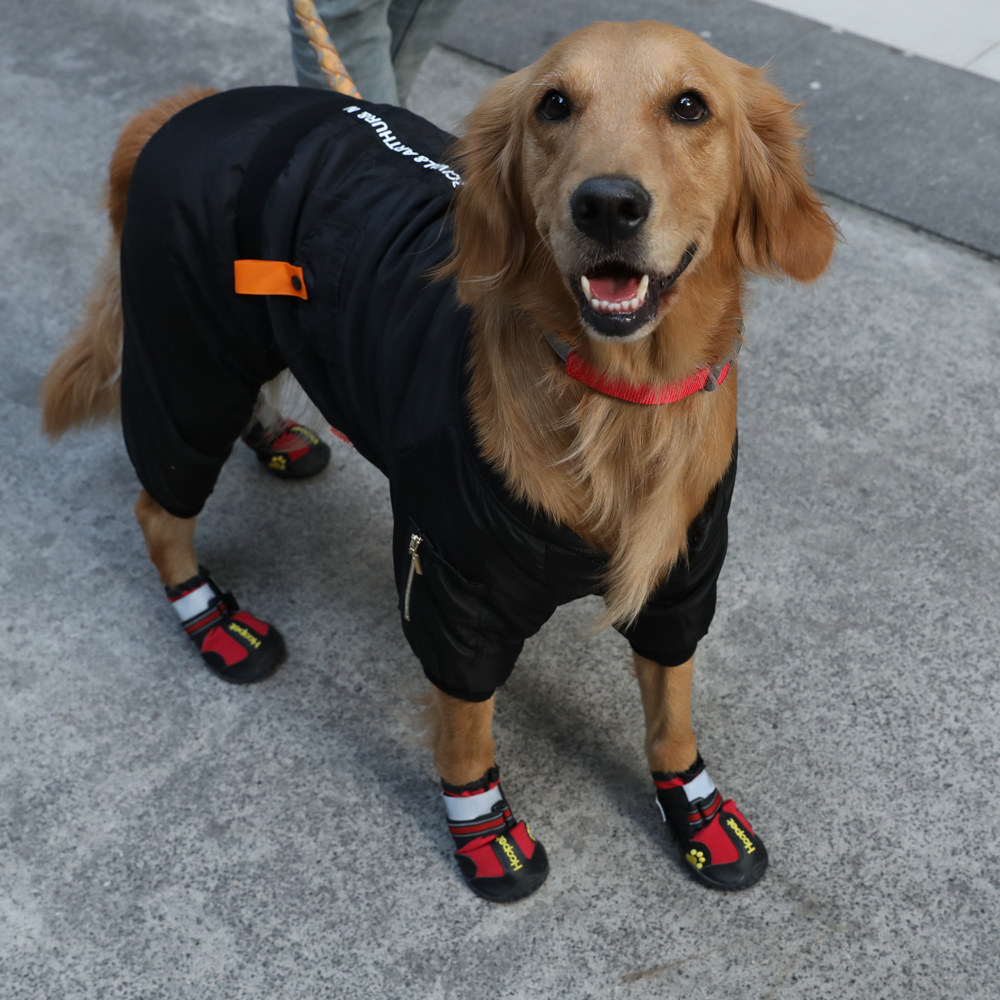 狗狗鞋子夏季金毛哈士奇拉布拉多脚套宠物防水中型宠物鞋子