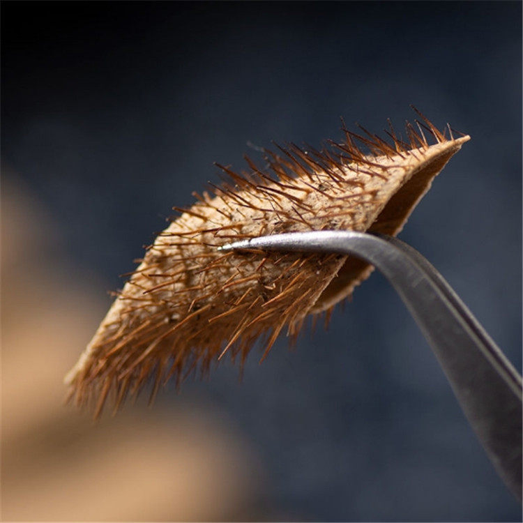 红毛五加正品500克包邮中药材野生皮刺五甲刺甲其他药食同源食品