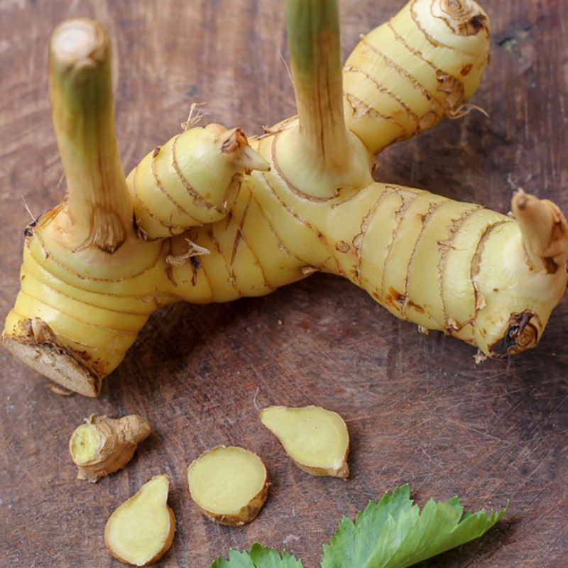 新鲜南姜泰国500g调味香料冬阴汤料火锅锅底其它