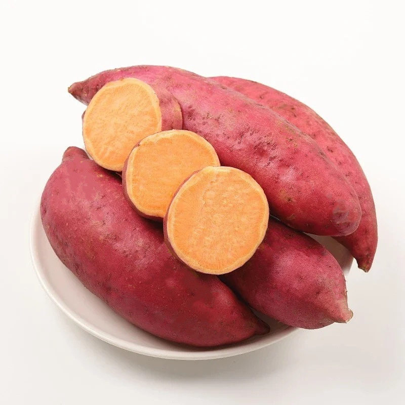 沙地新鲜现挖现发大叶红薯地瓜香甜甜糯5斤甜瓜