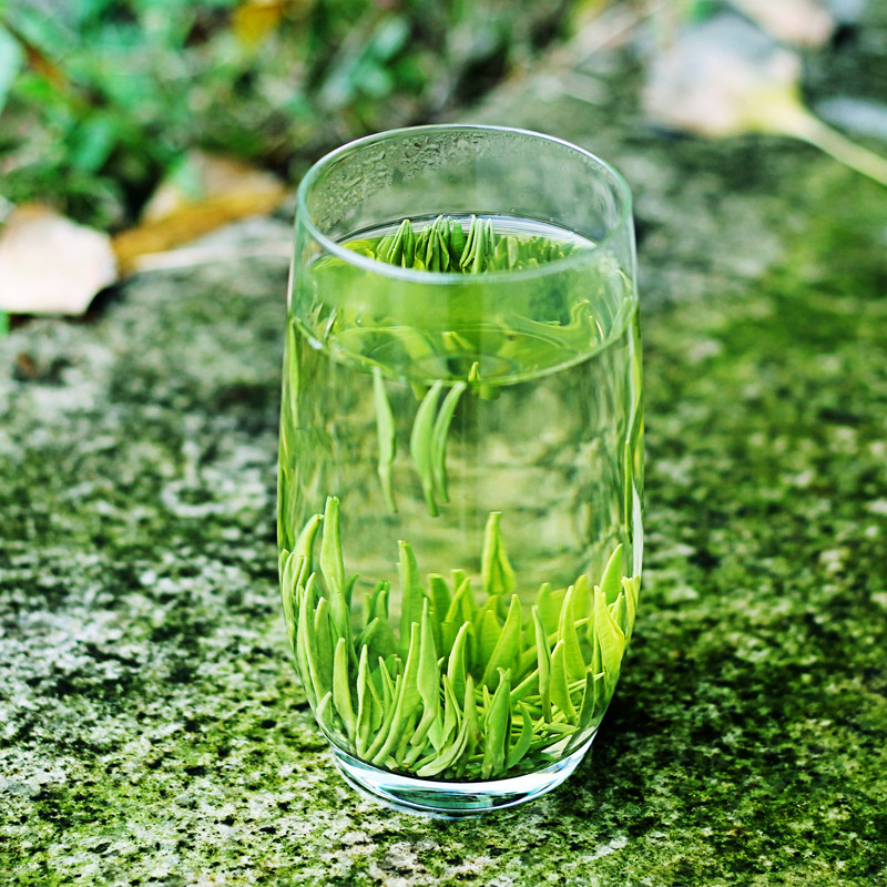 雀舌新茶买一发二雀2020新茶四川绿茶散装翠芽其它绿茶