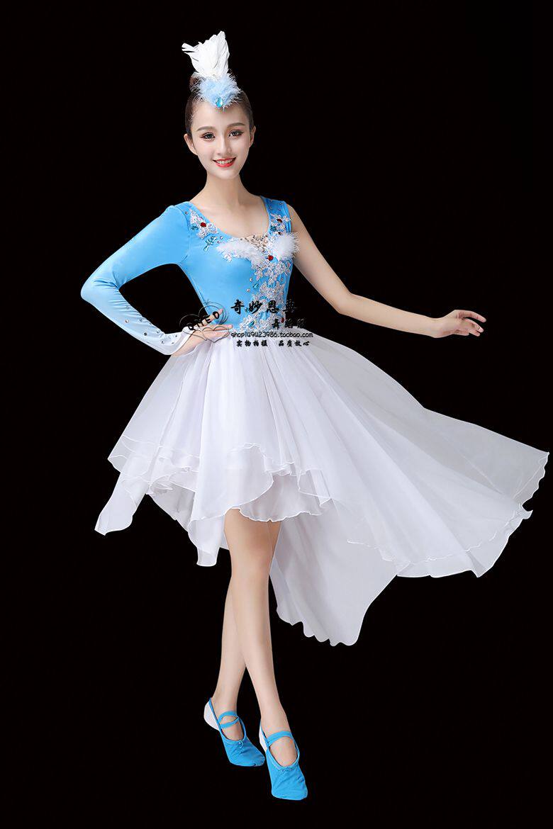 舞剧振鹭于飞舞蹈表演新款芭蕾舞桃李女子群舞民族服装