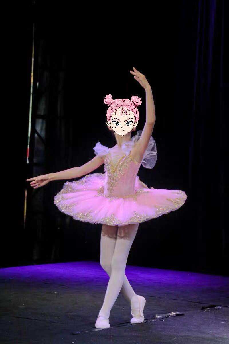 儿童芭蕾舞小天鹅舞蹈天鹅湖专业芭蕾tutu表演蓬蓬儿童演出服