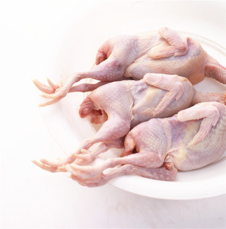新鲜冷冻鹌鹑10只装包农家白条现杀鸟肉烧烤其它生肉制品