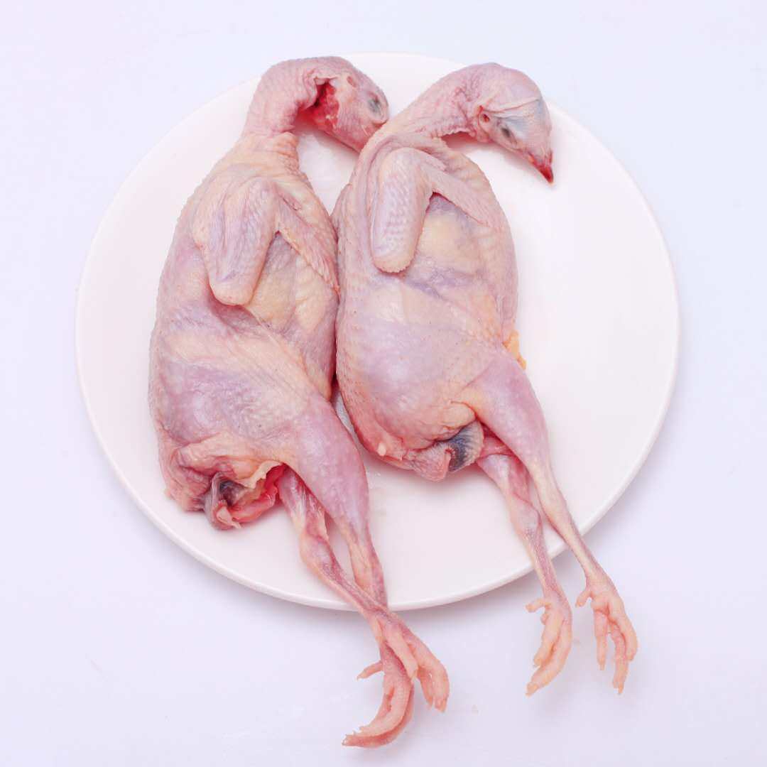 新鲜冷冻鹌鹑10只装包农家白条现杀鸟肉烧烤其它生肉制品