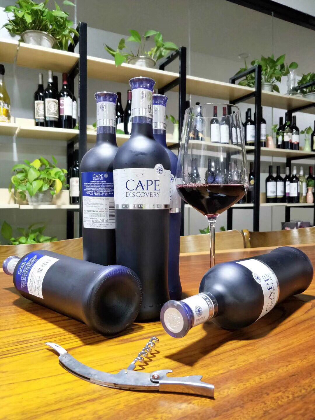 南非原瓶进口capediscovery好望望角红葡萄酒发现干红干红静态葡萄酒