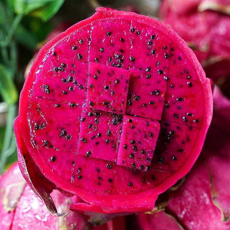 广西海南红心火龙果新鲜当季235斤水果小中大果金都一号红果肉