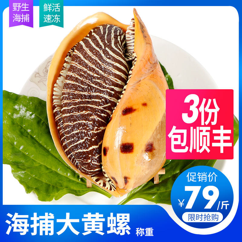 海鲜海螺东山岛黄螺活冻大椰子涡螺水产木瓜大黄贝类制品