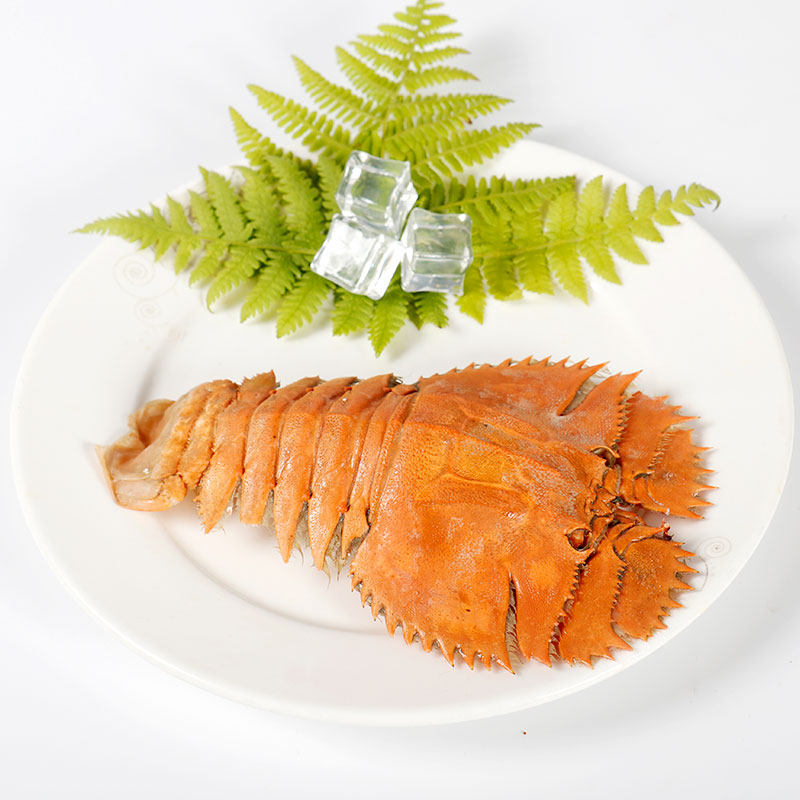 东山岛琵琶虾虾姑排九齿扇虾新鲜活冻大皮皮虾大虾冻虾