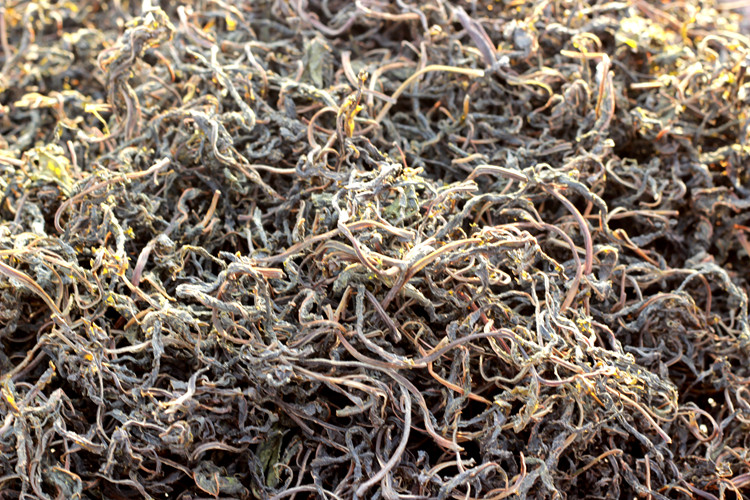 农家晒干香椿芽头茬野生新鲜嫩香椿芽湖北土特产干香椿叶500g包邮