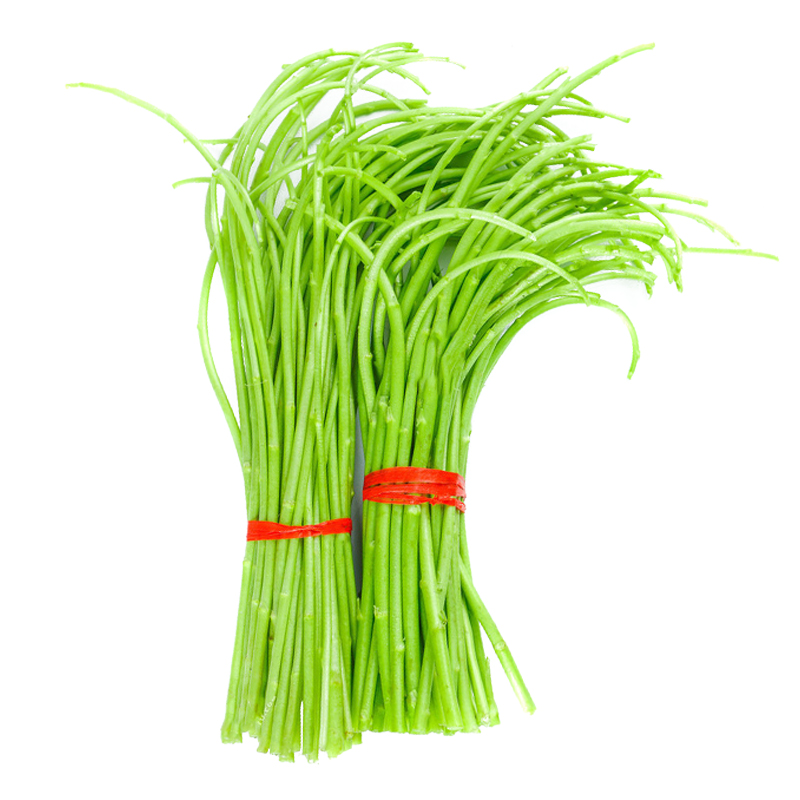 新鲜芦蒿黎蒿野菜鲜嫩现摘现发去根去叶篱蒿其它