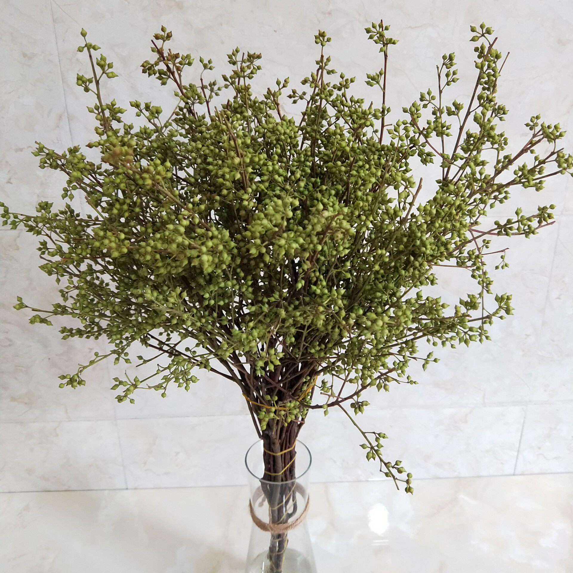 尤加利小米米果新鲜风铃带叶干花花制作diy家用鲜花速递(同城)