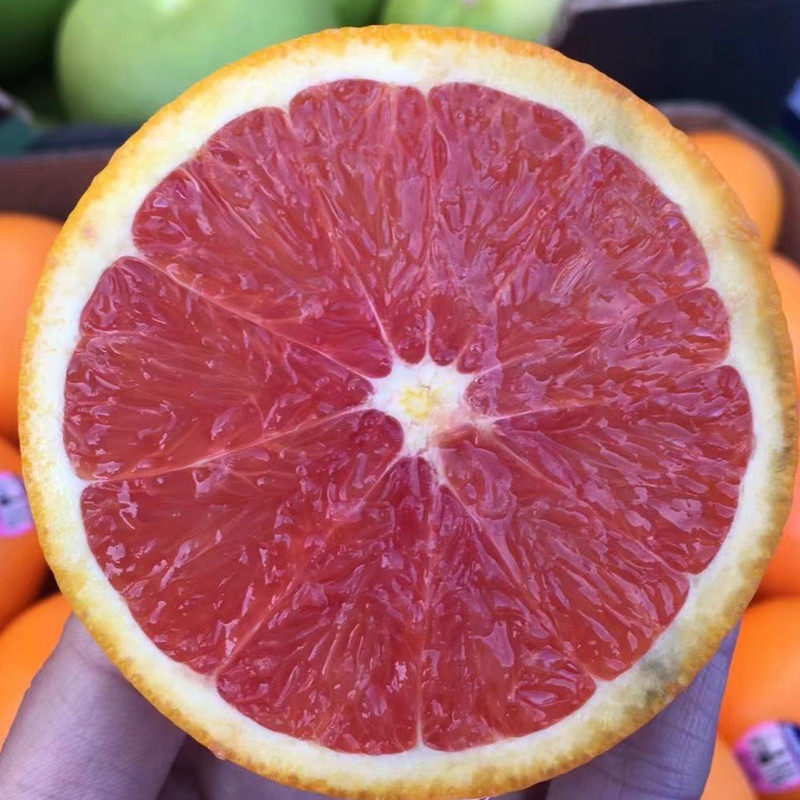 澳洲新奇士血橙进口口红肉橙3110红心新鲜甜橙橙