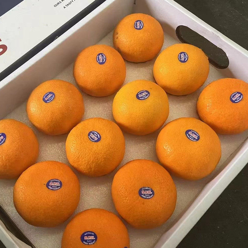 新鲜进口澳洲2ph澳橘澳大利亚橘子柑橘蜜桔水果桔子