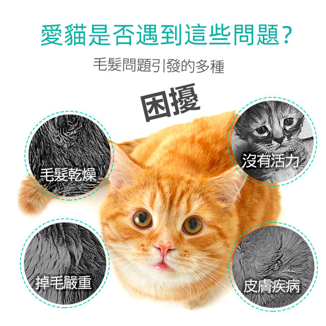 Xianyu Concentrated Lecithin Granules Beauty Hair Skin Care Bright Eyes Cat Health Supplements Nutrition 250g/can Xianyu Concentrated Lecithin Granules Beauty Hair Skin Care Bright Eyes Cat Health Supplements Nutrition 250g/can