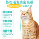 Xianyu Concentrated Lecithin Granules Beauty Hair Skin Care Bright Eyes Cat Health Supplements Nutrition 250g/can Xianyu Concentrated Lecithin Granules Beauty Hair Skin Care Bright Eyes Cat Health Supplements Nutrition 250g/can