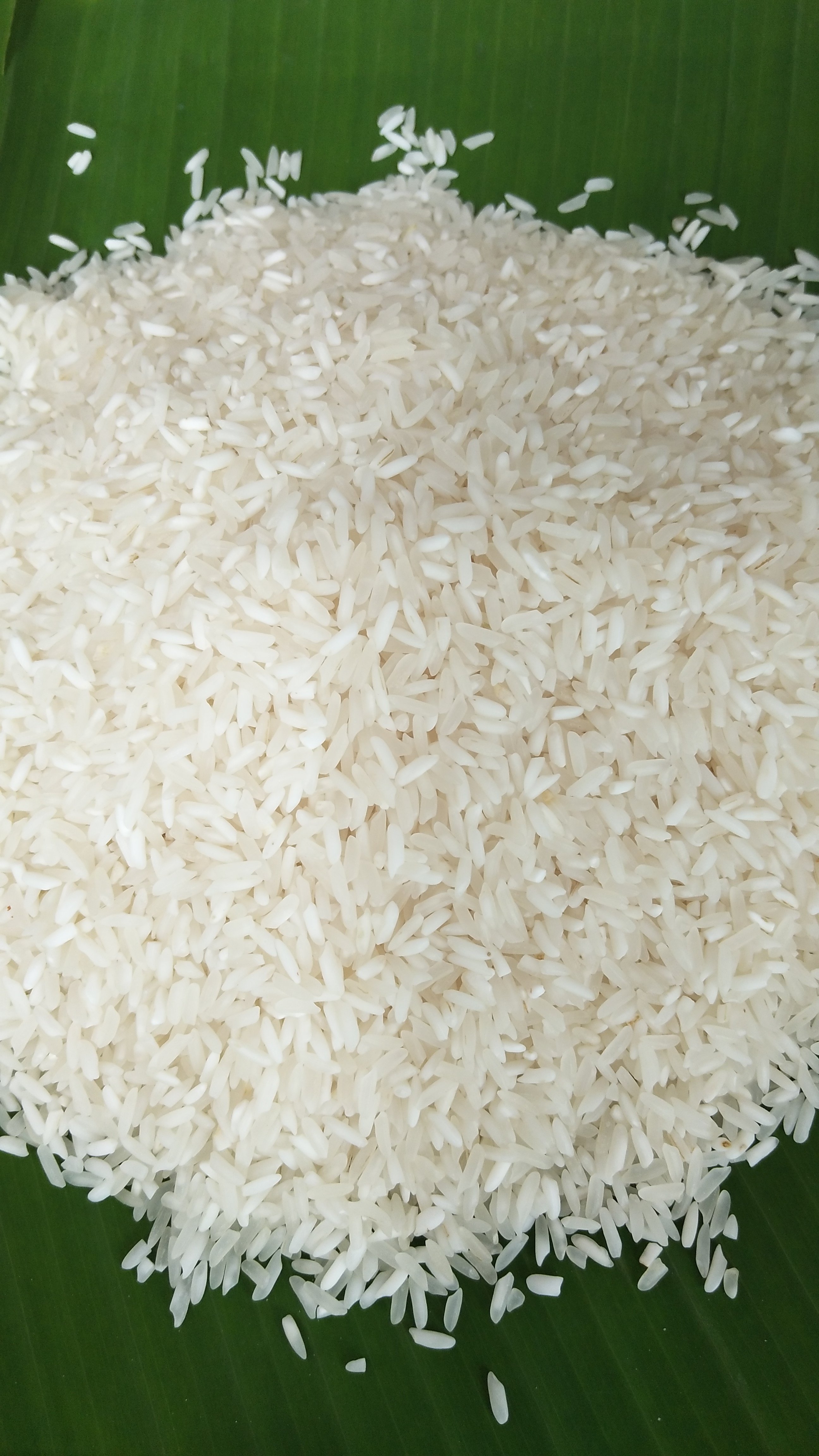 软米新米云南大米散装德宏梁河农家自产抛光大米