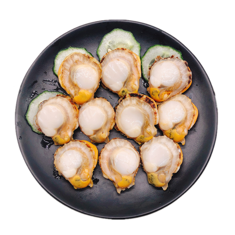 扇贝新鲜鲜活冷冻元贝蒜蓉粉丝海鲜水产贝类贝类制品