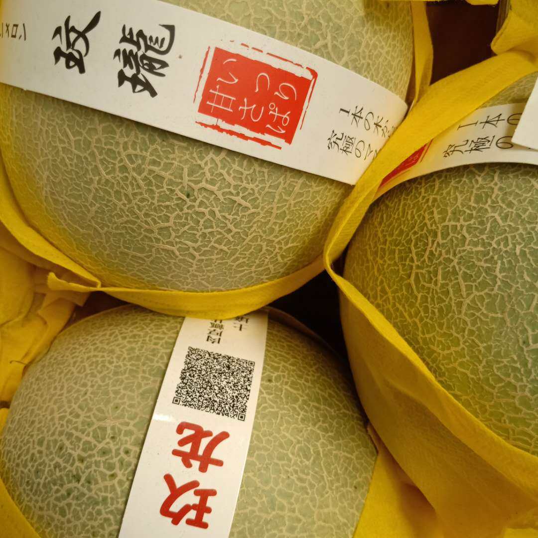 现货原装装箱梅陇网纹甜瓜新鲜水果哈密瓜甜糯哈密瓜