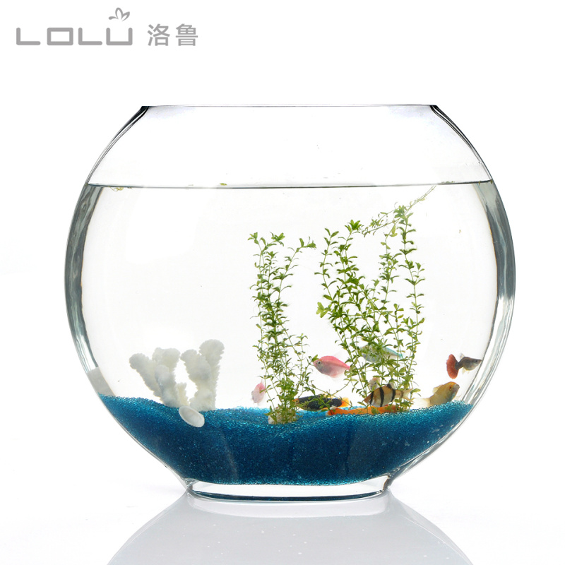 玻璃鱼缸圆形大号加厚扁圆形中号金鱼缸水族箱桌面造景生态水培缸