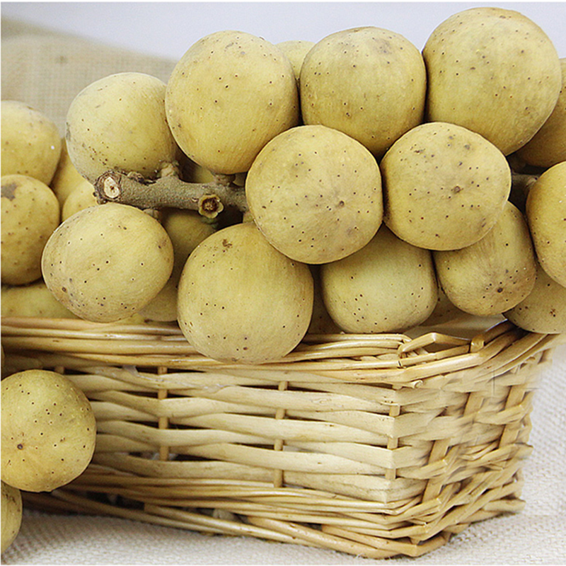 龙宫果龙贡果龙功果泰国新鲜热带水果多汁椰色爱情其它