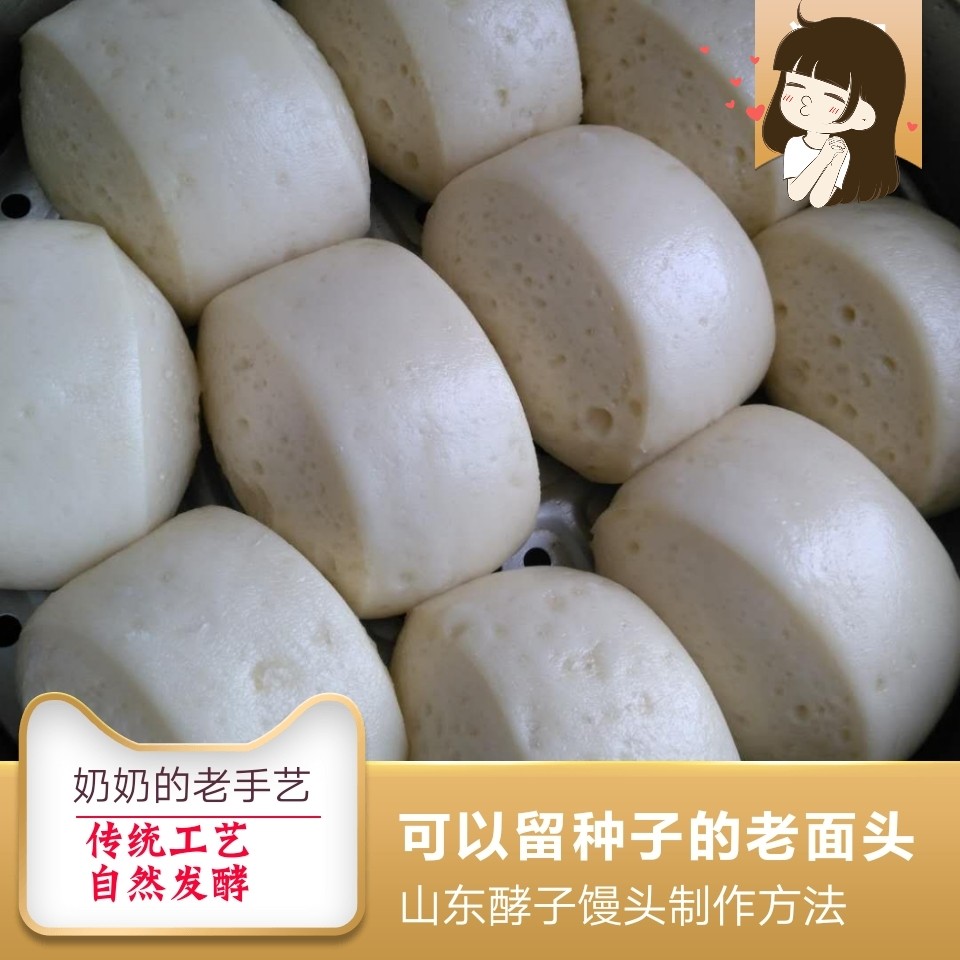 老面引子头面瓜曲头馒头发酵面头山东菏泽300克面粉