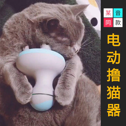 按摩器宠物抖音同款英短猫咪美短橘猫小猫电动洗澡