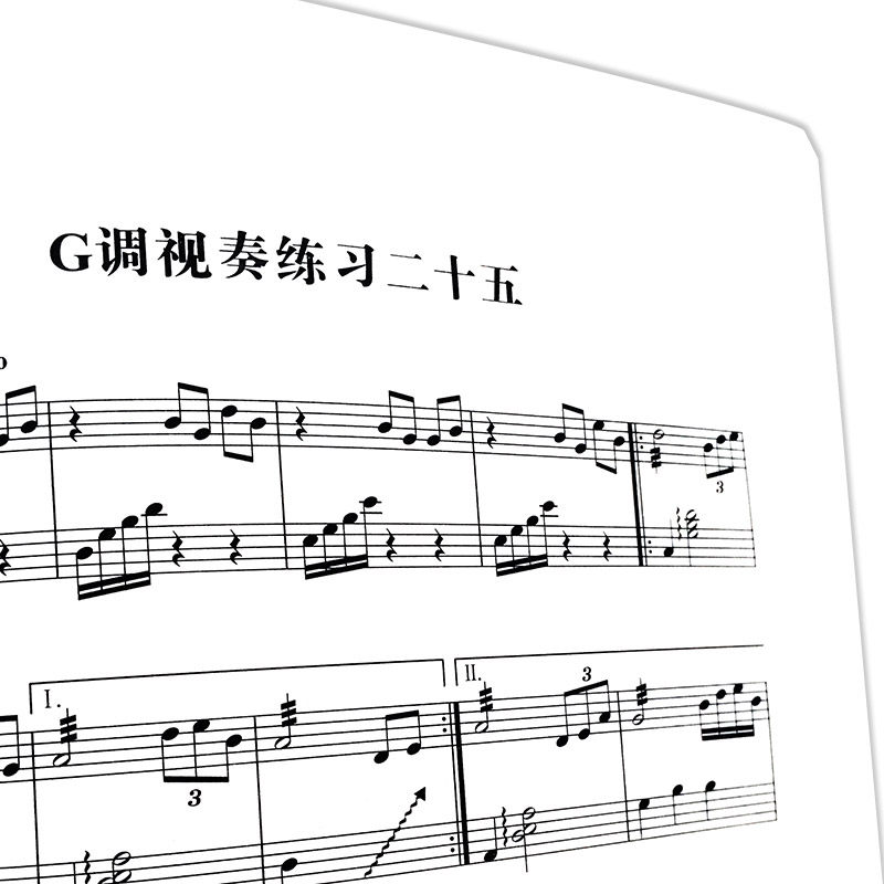 古筝教程书籍教材五线谱训练杨红初学者入门自学音乐新