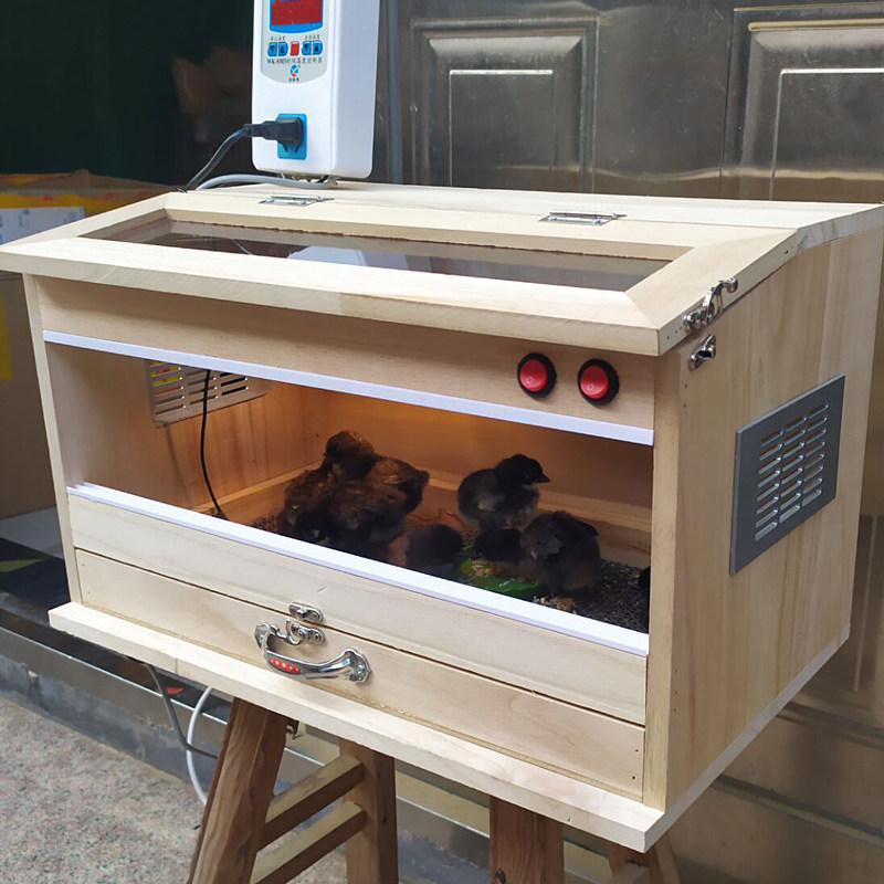 保温鸡苗鹌鹑鹦鹉育雏活体箱子雏鸟鸭苗出壳箱孵化器