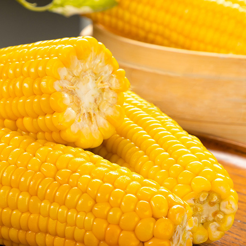 21年黄糯粘包装礼盒玉米东北新货老丈郭老丈微曦玉米