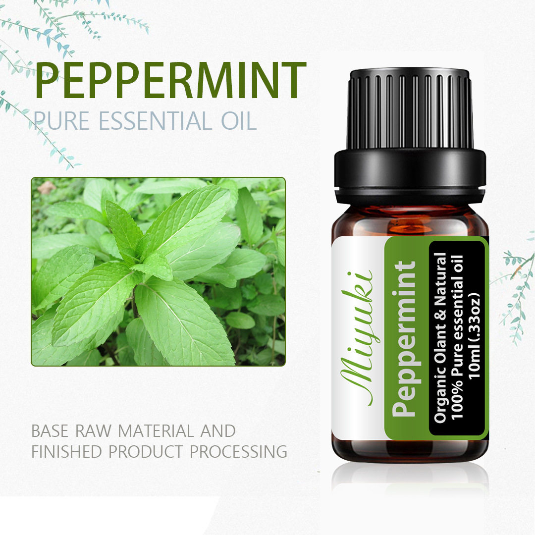 精油薄荷peppermint植物厂家香薰身体清凉提神醒脑单方精油