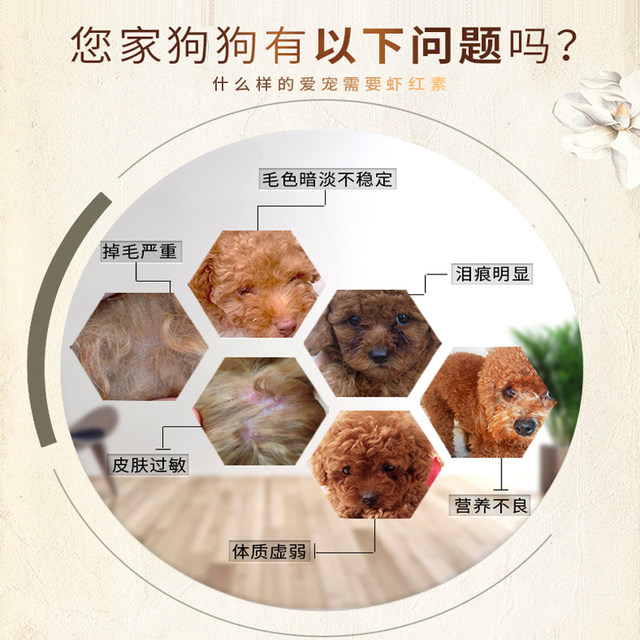 New favorite of Kang astaxanthin red brown hair nutrition cream VIP Teddy red brown dogs cats beauty hair skin care products New favorite of Kang astaxanthin red brown hair nutrition cream VIP Teddy red brown dogs cats beauty hair skin care products
