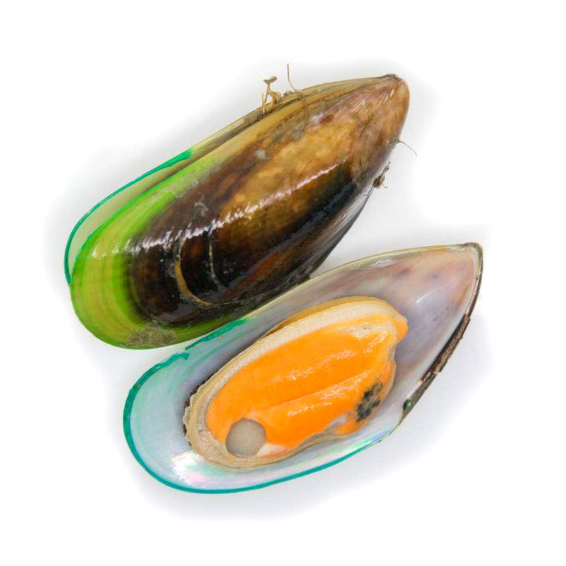 怡鲜来新西兰进口全壳青口贝500g 鲜活冷冻淡菜翡翠贻贝海鲜 贝类