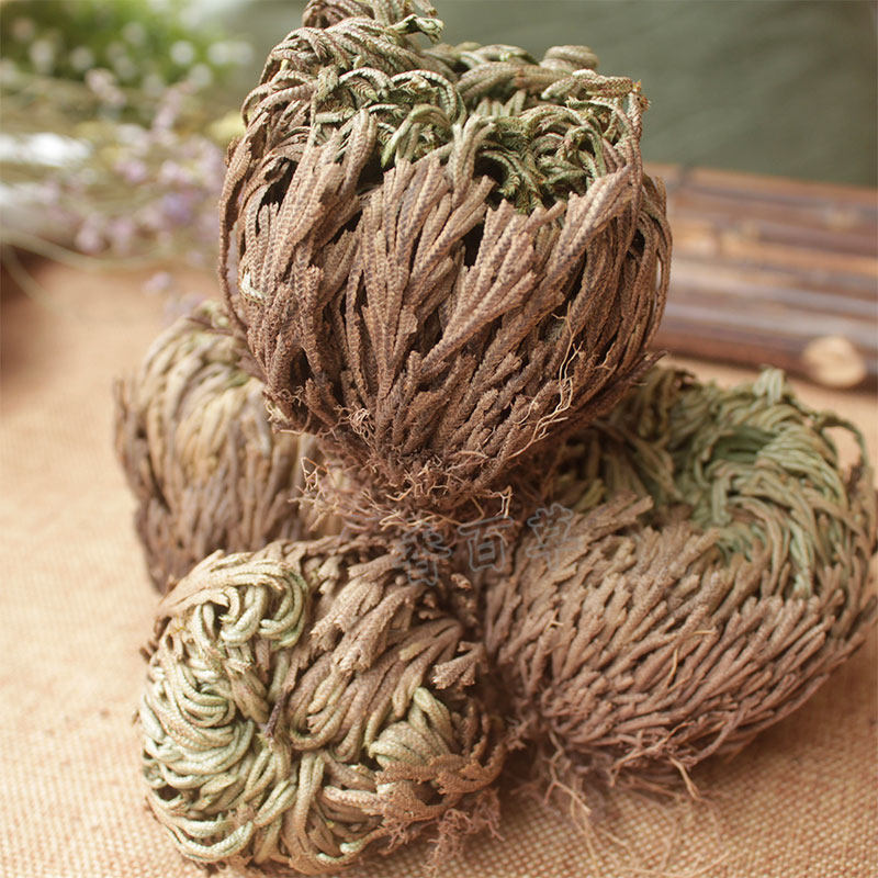 中药材卷柏新货干品岩柏长生不死还阳草石九死其他药食同源食品