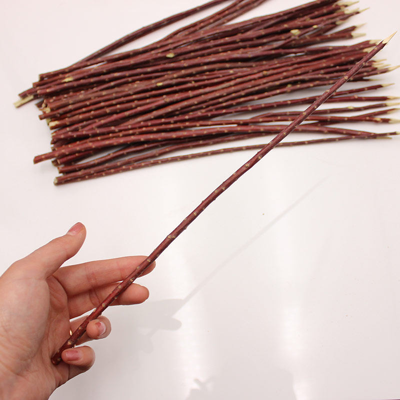 正宗红柳大串签子天然新疆戈壁滩红柳烤肉木棒红柳树枝健康腌肉串