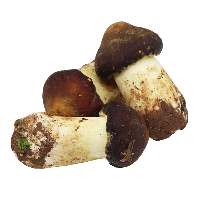 野生菌谷新鲜姬松茸精选云南农家特产1000克香蘑菇菌煲汤顺丰包邮