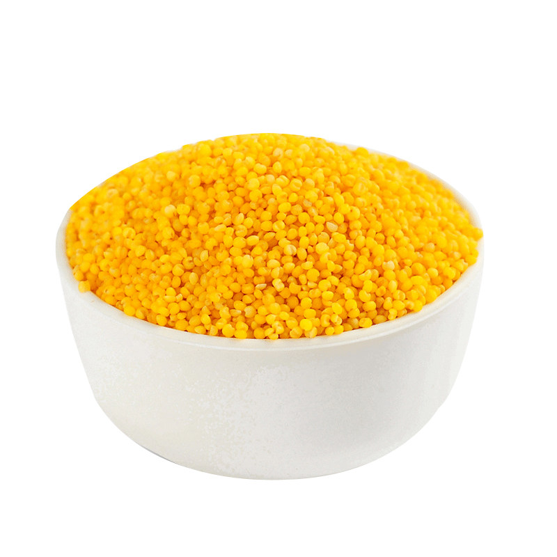 小米山西29元500g米粥五谷杂粮富硒特级黄小米沁州小米